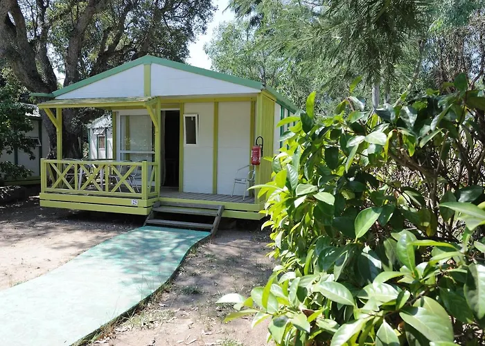 Hôtel accueillant les animaux: Camping Les Ilots D'Or