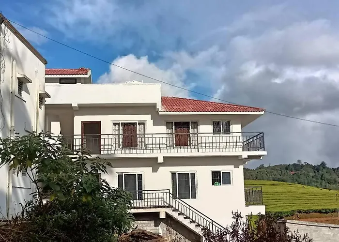 Tea Estate View Stay