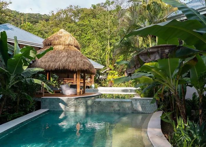 Hotel con piscina: Blue Mist Hotel- Adults Only