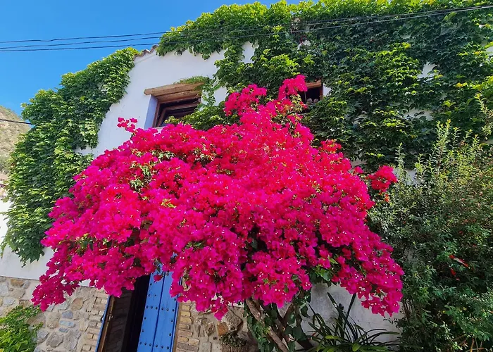 Casa La Yedra By CasaTuristica