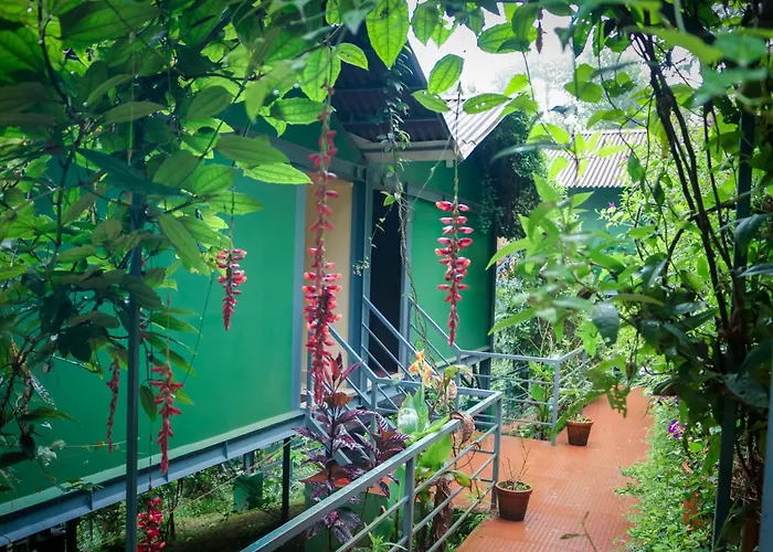 Hotel with view: Edens Munnar