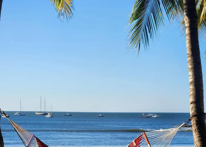La Palapa
