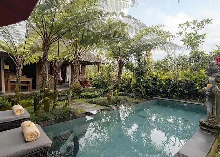 Moringa Ubud