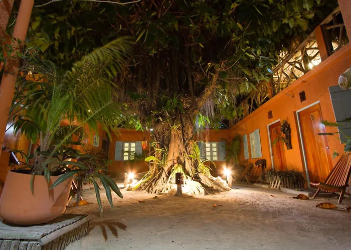 Central hotel: Sea Dreams Hotel