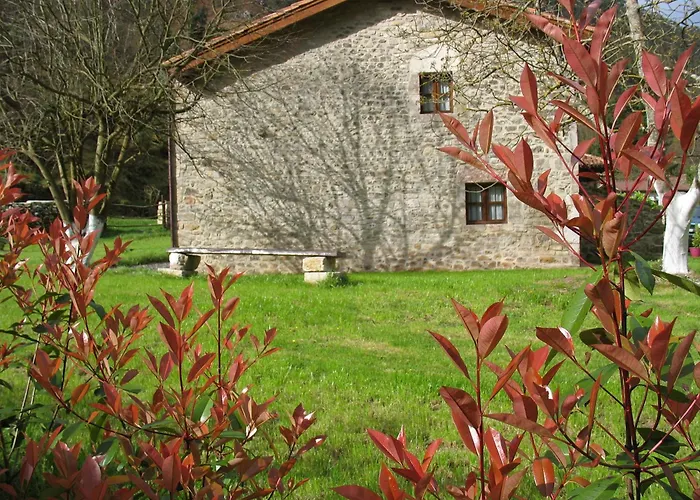 Bajo Los Tilos