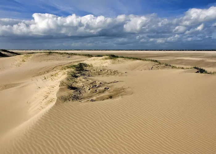  Ara Dune
