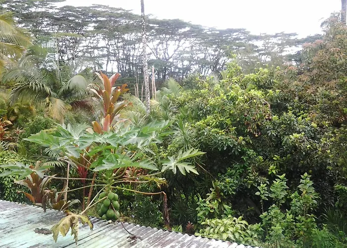 Luxury hotel only: Lava Tree Tropic Inn