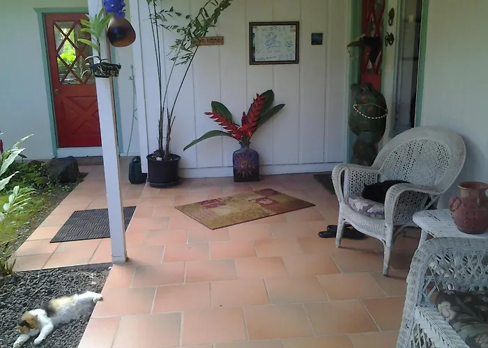 Luxury hotel only: Lava Tree Tropic Inn