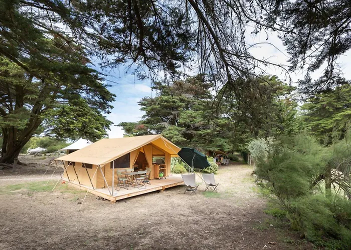 Hôtel accueillant les animaux: Huttopia Noirmoutier