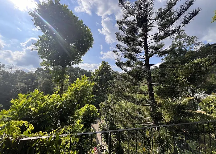 Canopy Villa