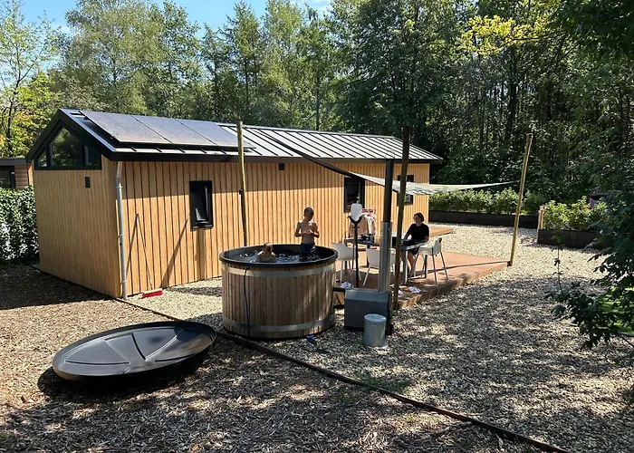 Huisdiervriendelijk hotel: Schitterend 4 persoons Tinyhouse met HOTTUB aan de bossen in Putten 4-16