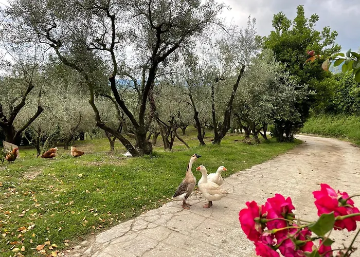 Agriturismo Torre Ercolana