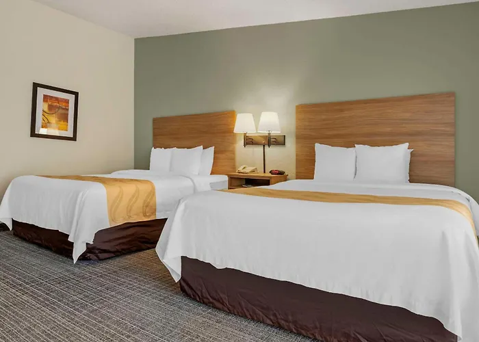 Quality Inn & Suites Nrg Park - Medical Center
