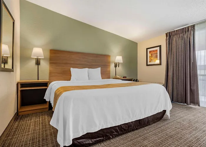 Quality Inn & Suites Nrg Park - Medical Center