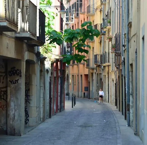 Housing Ginesta 9