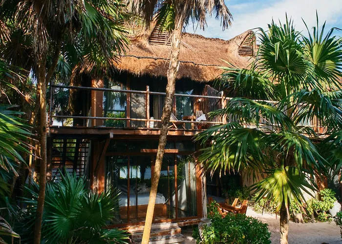 Libelula Beachfront