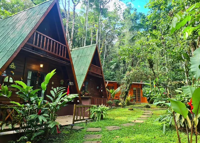  Floresta Encantada