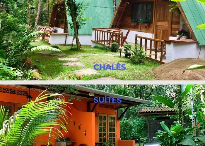  Floresta Encantada