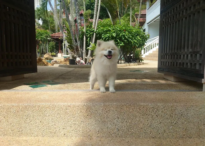 Samui Little Garden