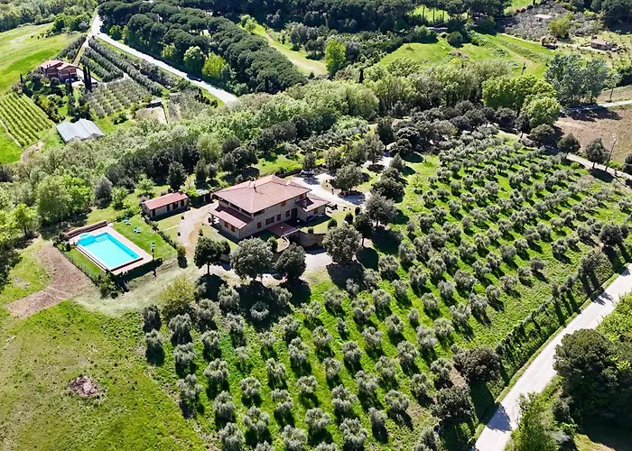 Il Gonzeto