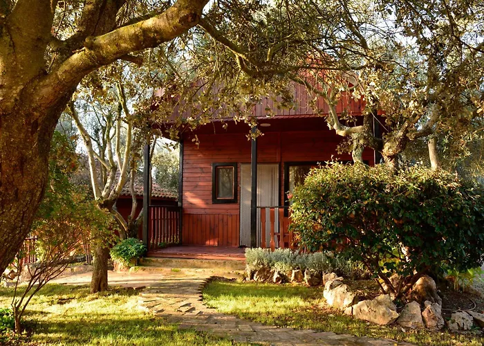 Hotel que admite mascotas: Camping Alquézar