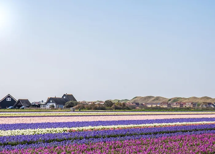 Neeltje - park Luttikduin Aan Zee