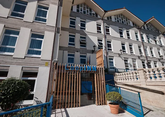 Perros hoteles Loop INN Albergue
