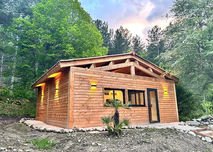 Hôtel accueillant les animaux: Camping White Rock