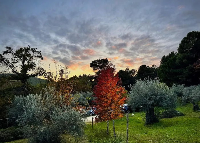 Chalet: Casa Rural Las Gesillas