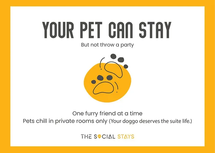 Social Stays