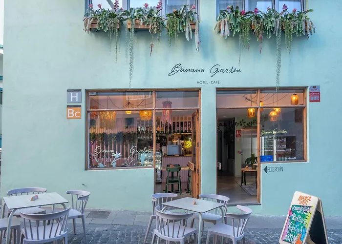 Hotel familiar: Banana Garden La Palma