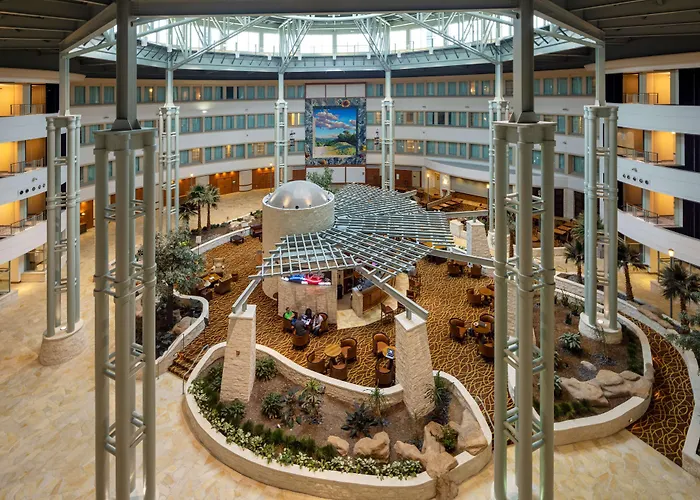 Pets Allowed Hotel Hilton Austin Airport