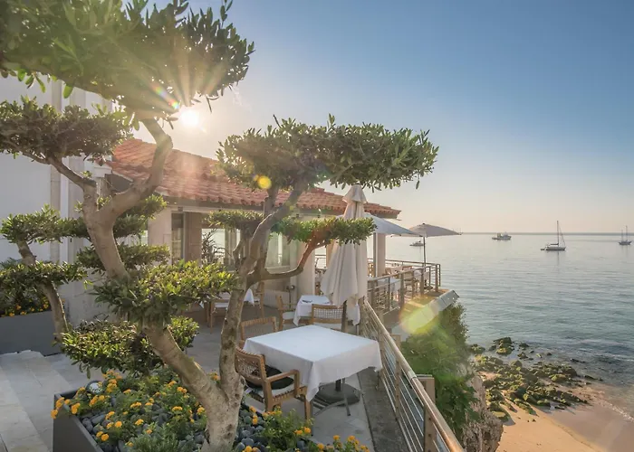 Hotel de luxo Apenas: The Albatroz Hotel