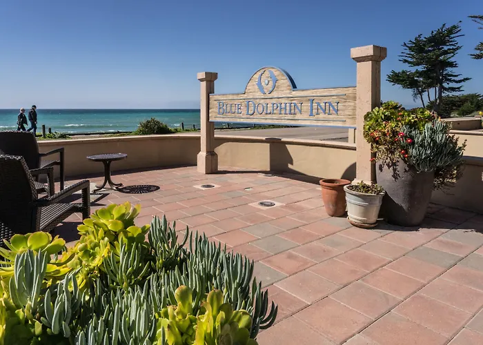 Blue Dolphin