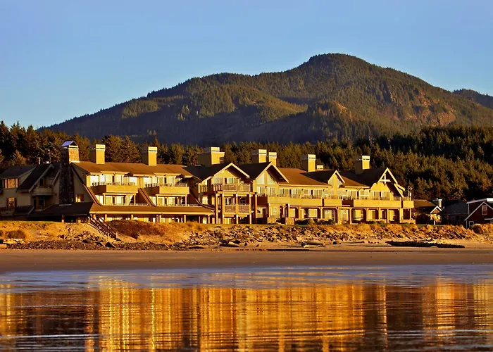 Beach Hotels Ocean
