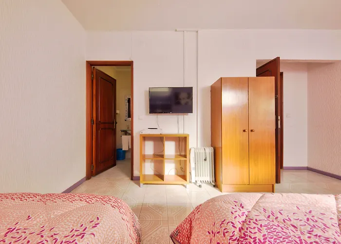 Hotel que aceita animais de estimação: Hotel Palmeira