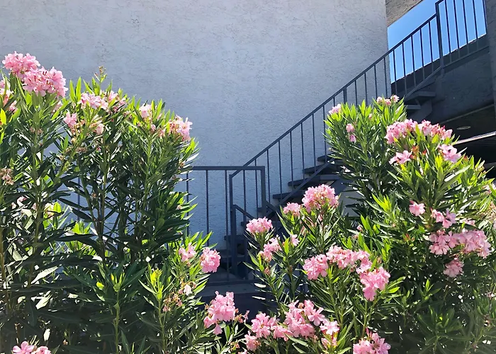 Motel: Siegel Slots And Suites