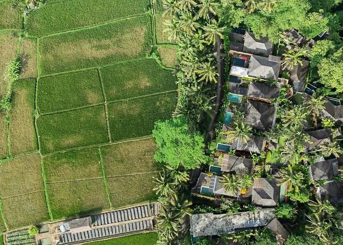 Temuku Ubud Villas
