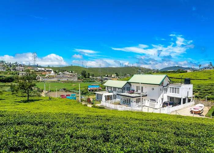 Villa Tea Fields