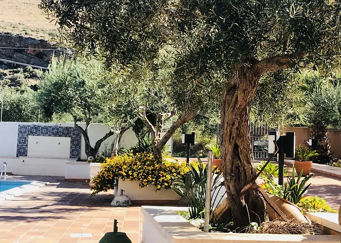 Hotel adatto agli animali: Hotel Achibea