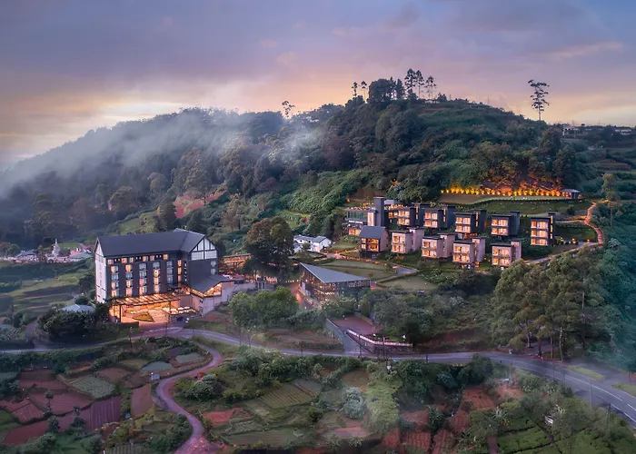 Luxury hotel only: The Golden Ridge Hotel