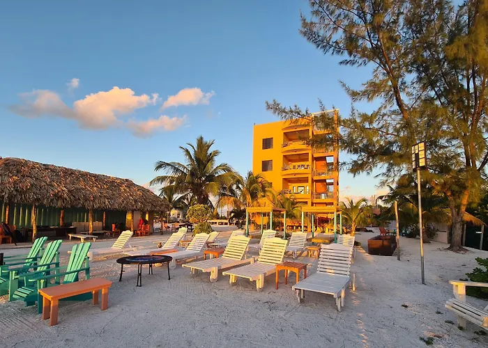 Pet Friendly hotel: Bay Towers