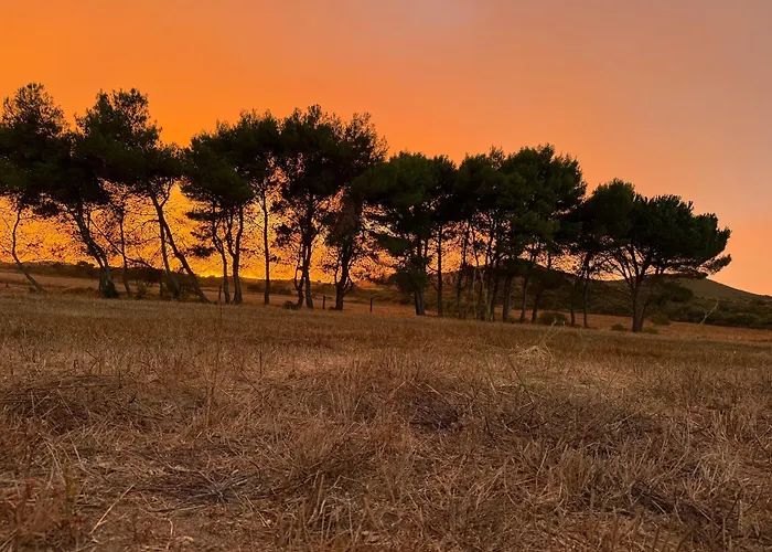 Agriturismo Sa Perda Marcada