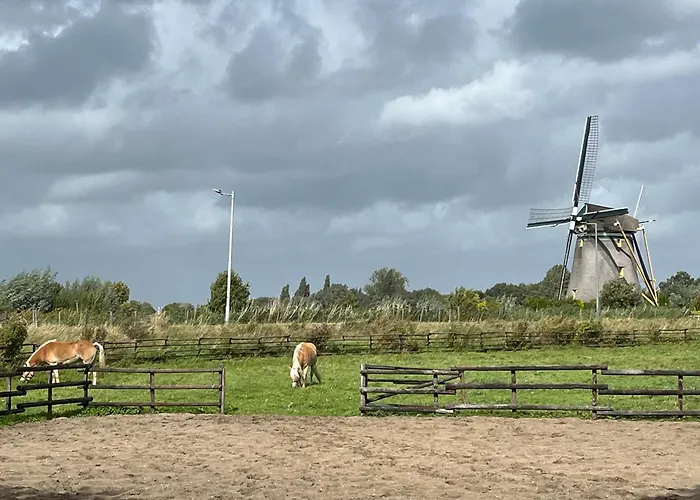 Chalet aan de Rotte
