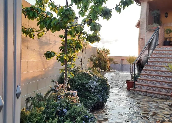 Flor De La Jara