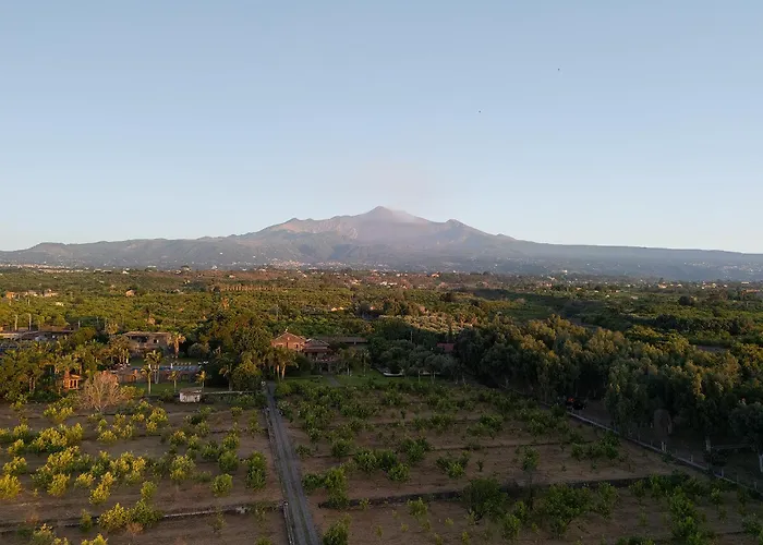 Citrus, Between Etna And The Sea
