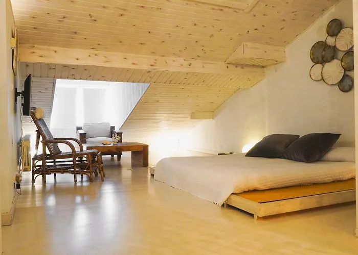 Perros hoteles De