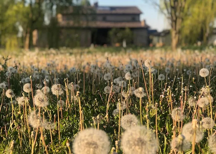 Agriturismo I Bosconi