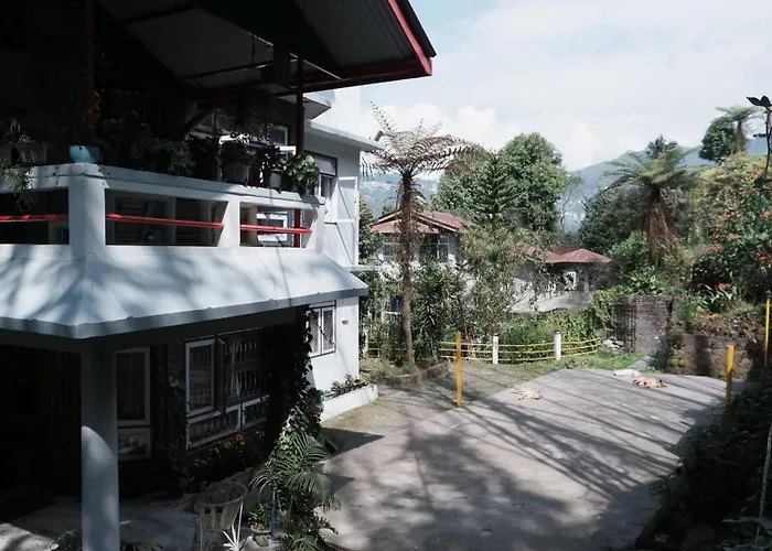 Tag Along 2 0 Gangtok