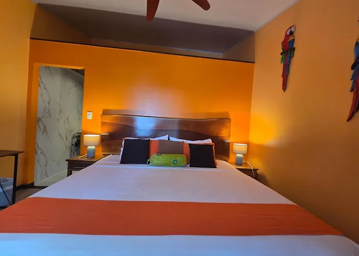 La Palapa